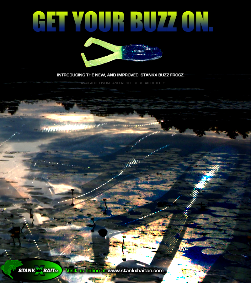 AD_buzzfrogz