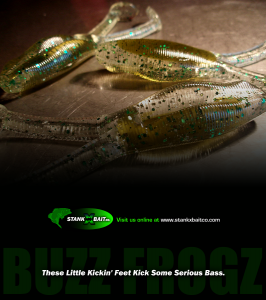 AD_frogz