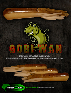Poster_GobiWan_small