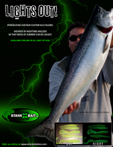 Poster_KingSalmon_small