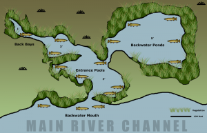 spawning_pike_MINI