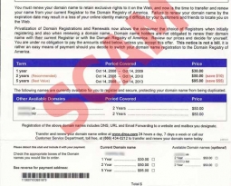 Junk Mail: Don’t Get Scammed by the Domain Registry of America