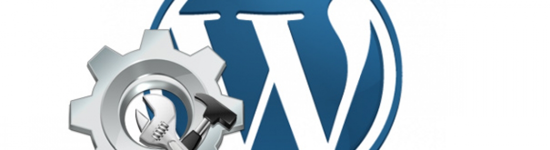 The Importance of WEEKLY Updating WordPress Plugins and Software